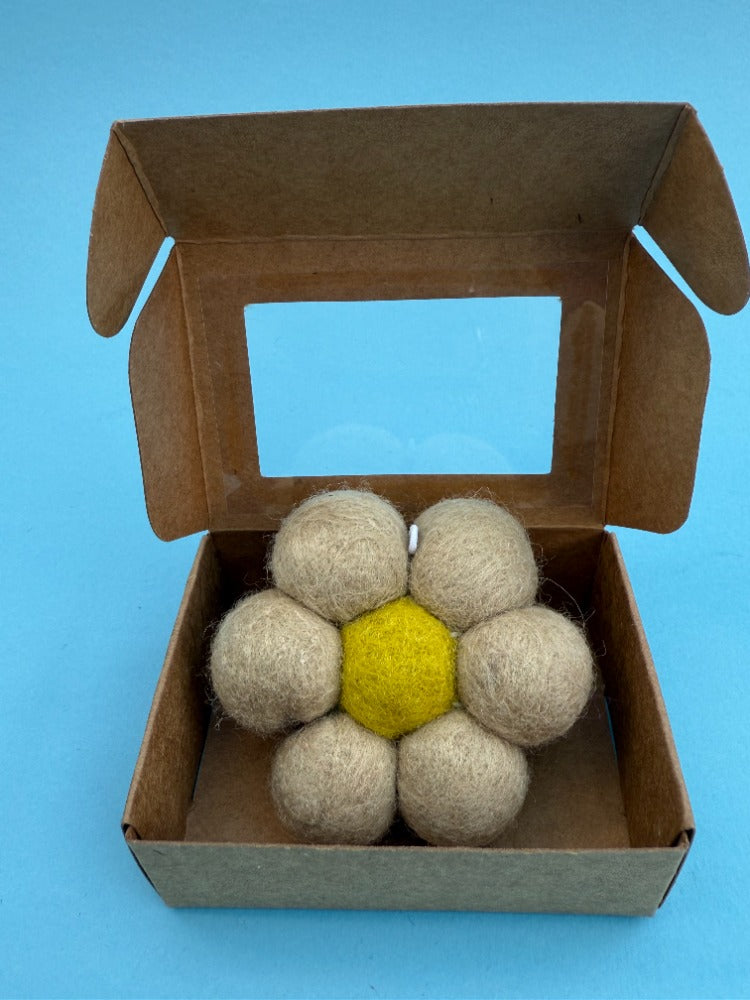 Eco friendly Air Freshener For Cars Or The Home